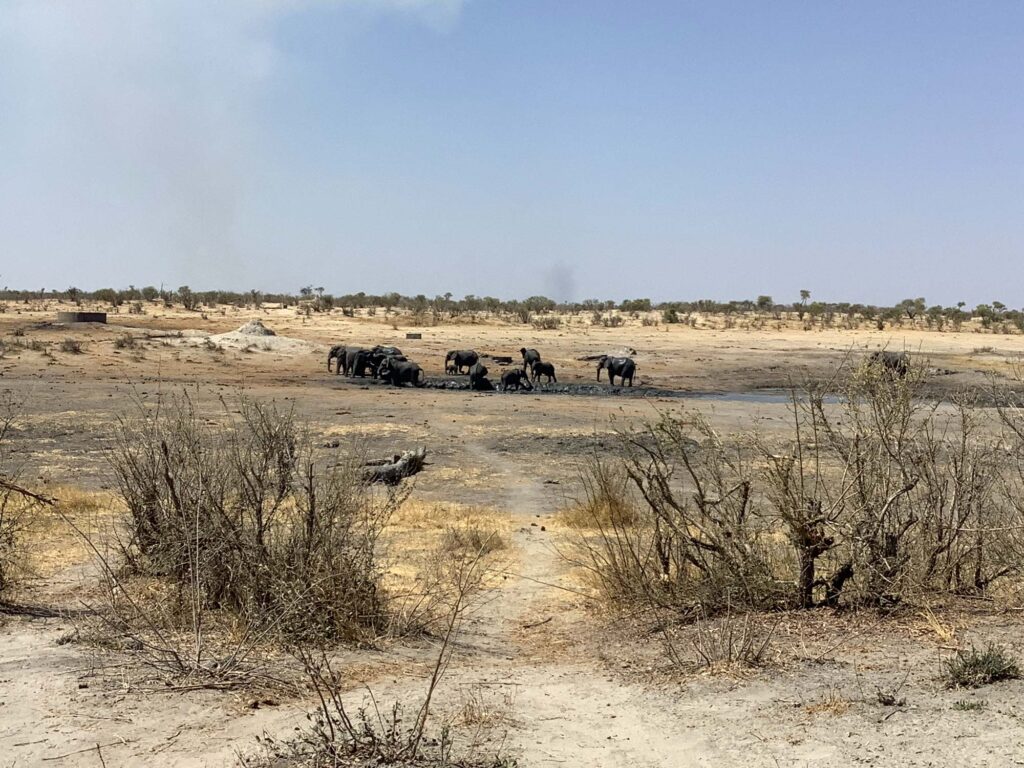 Uncover KAZA’s Hidden Gems – Khaudum National Park, Namibia