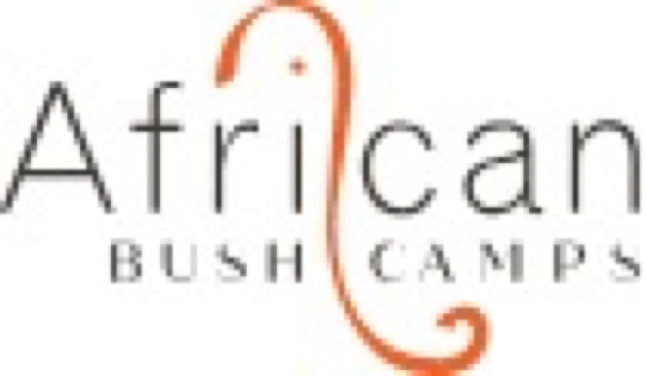 Arican Bush Camps