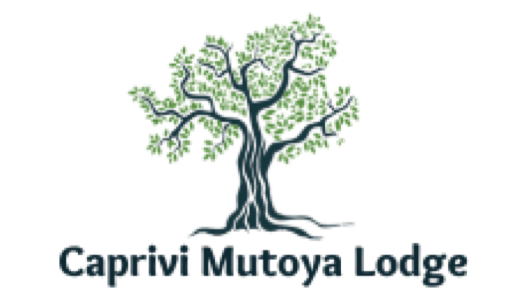 Caprivi Mutoya