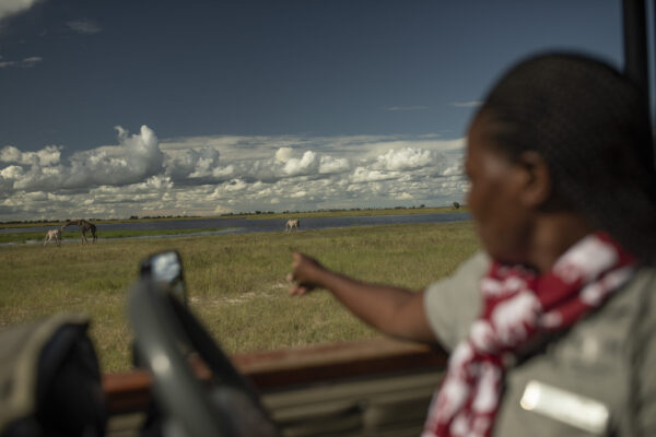 Sydelle Willow Smith KAZA for Makhulu Media/GIZ.  20Head guide at Chobe Game Lodge, Florence Kagiso heads out into the park on a drive. She was the first female guide to be appointed at the lodge, and rose through management ranks. The lodge was so impressed by her work ethic and treatment of the vehicles and resources, that they shifted policies and now only employ female guides. Established in 1973 the lodge is the only privately owned hotel in the Chobe reserve.